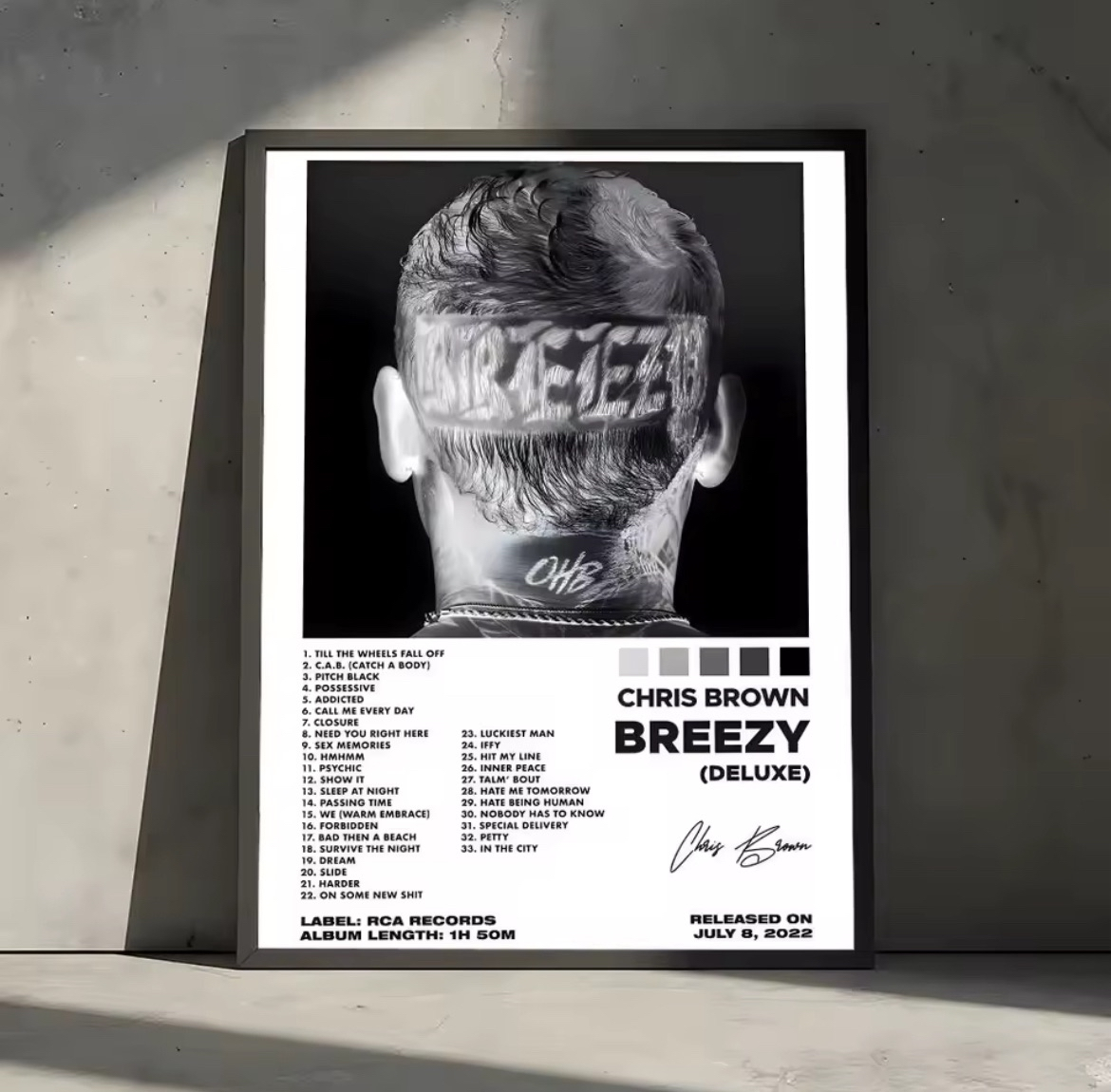 Chris Brown Poster